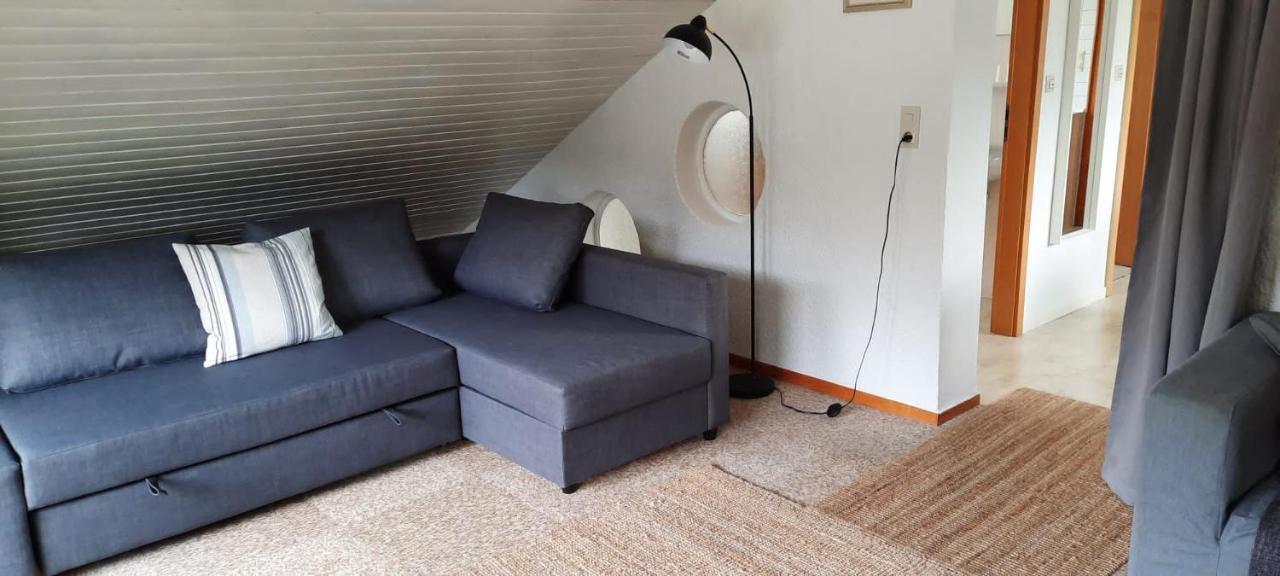 Guest house Schneider *