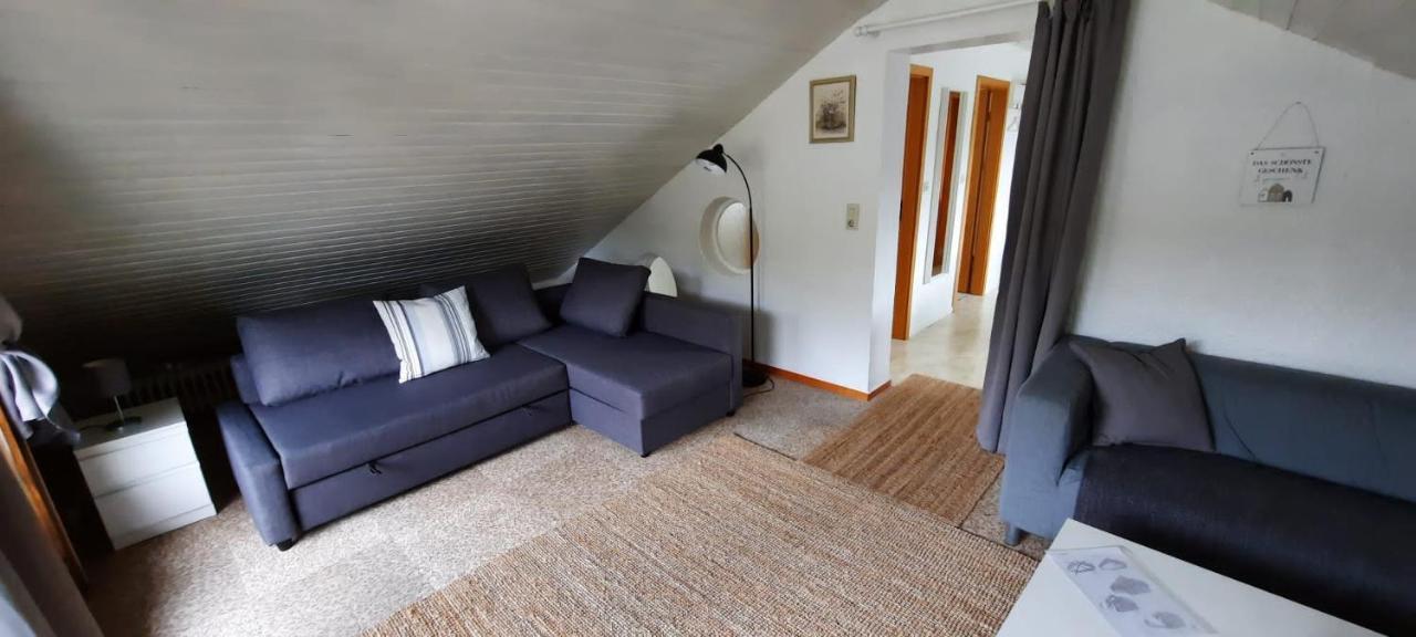 Schneider Guest house